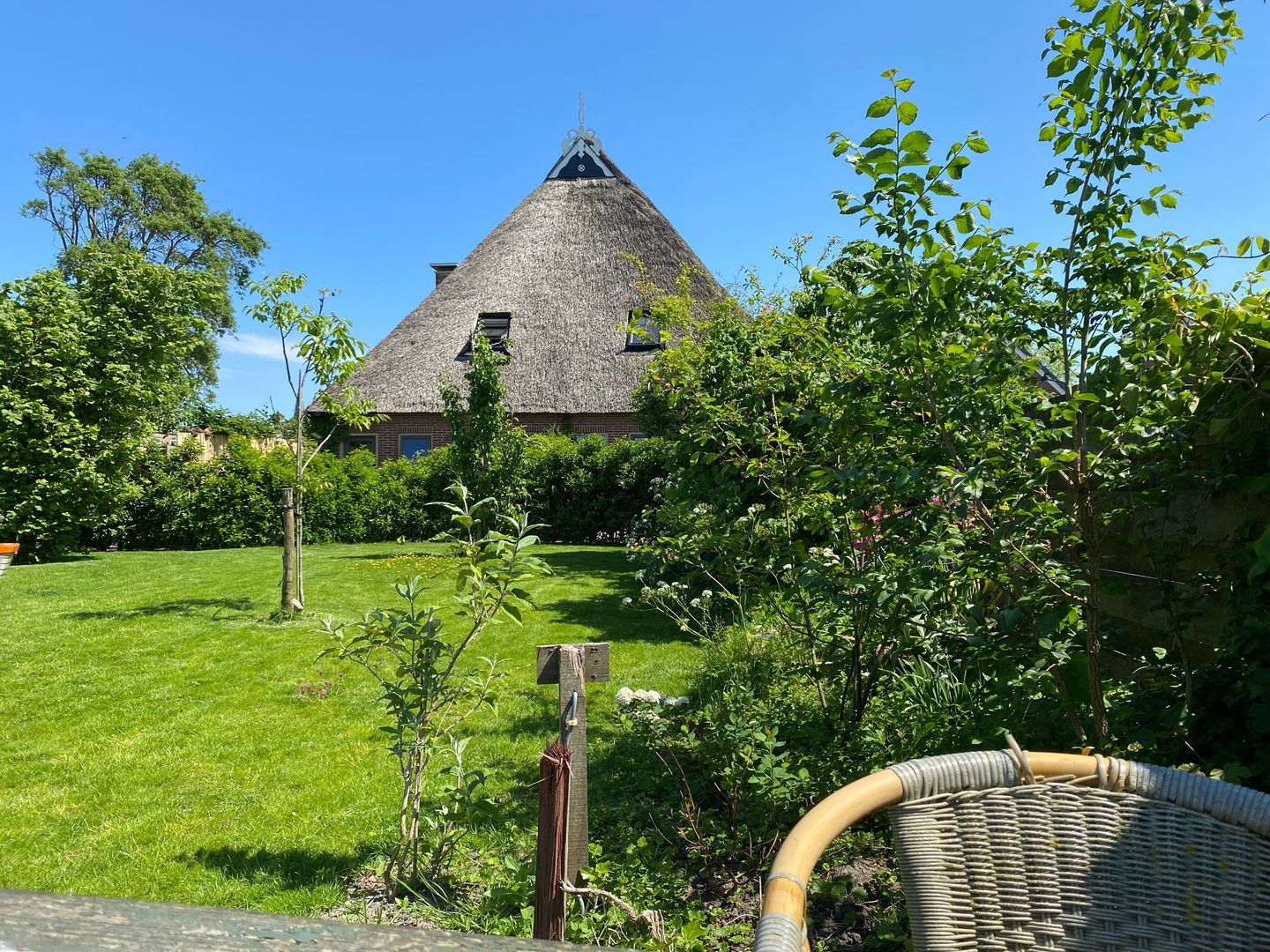 Nijbuorren 8, Ternaard foto-2