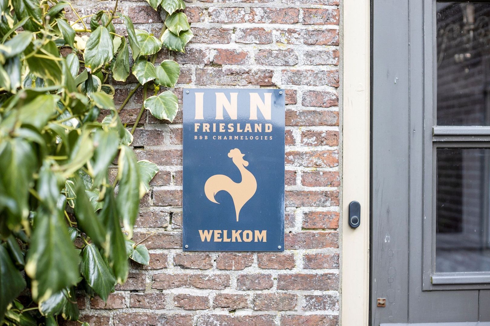 Nijbuorren 8, Ternaard foto-5