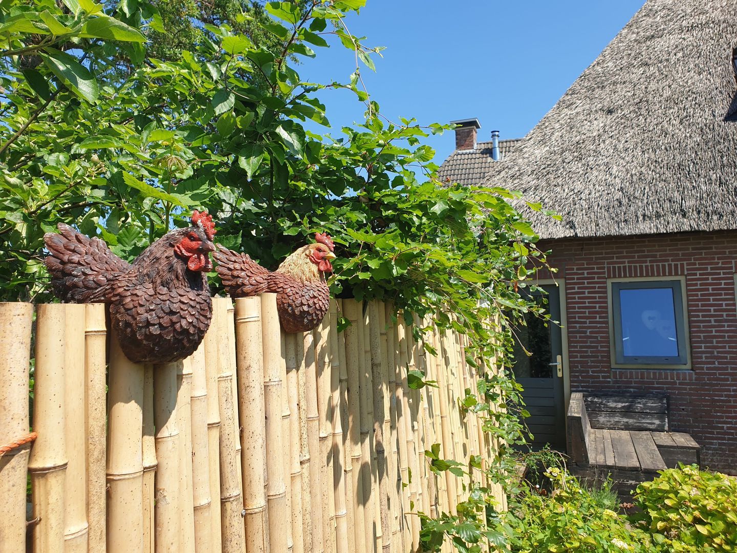 Nijbuorren 8, Ternaard foto-34