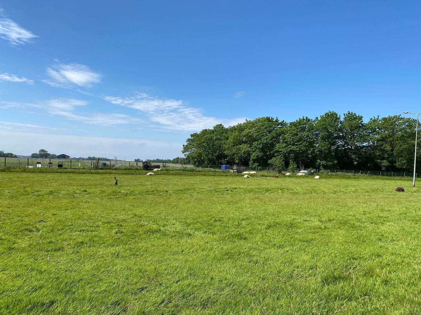 Nijbuorren 8, Ternaard foto-50