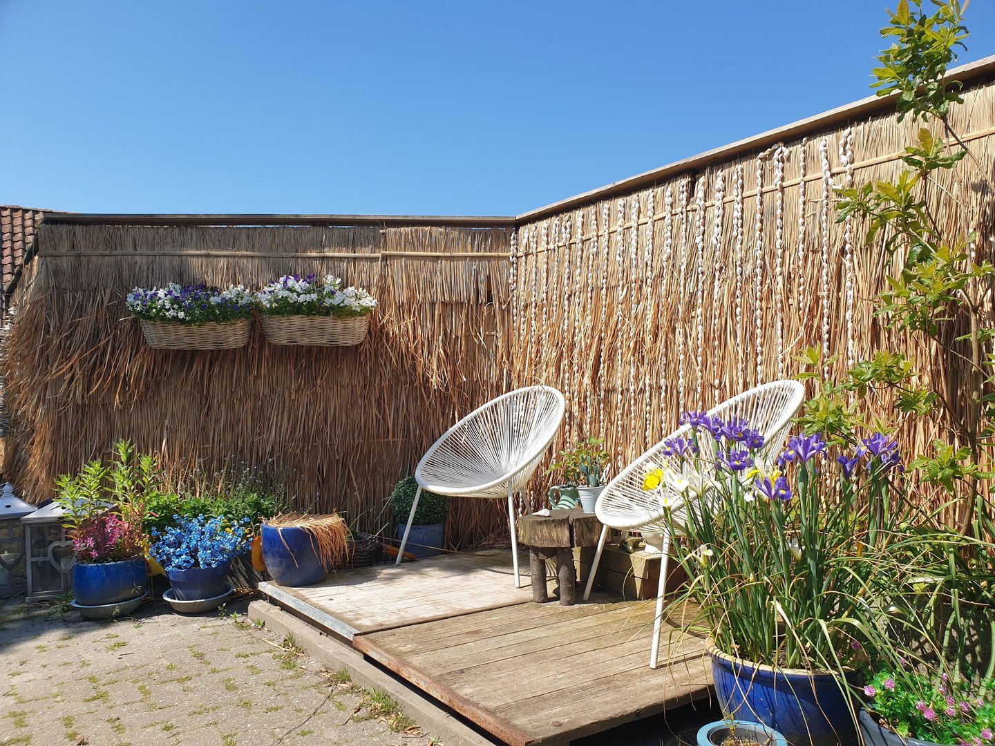 Nijbuorren 8, Ternaard foto-26