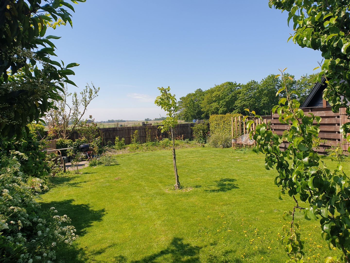 Nijbuorren 8, Ternaard foto-25