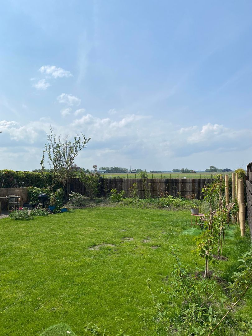 Nijbuorren 8, Ternaard foto-51