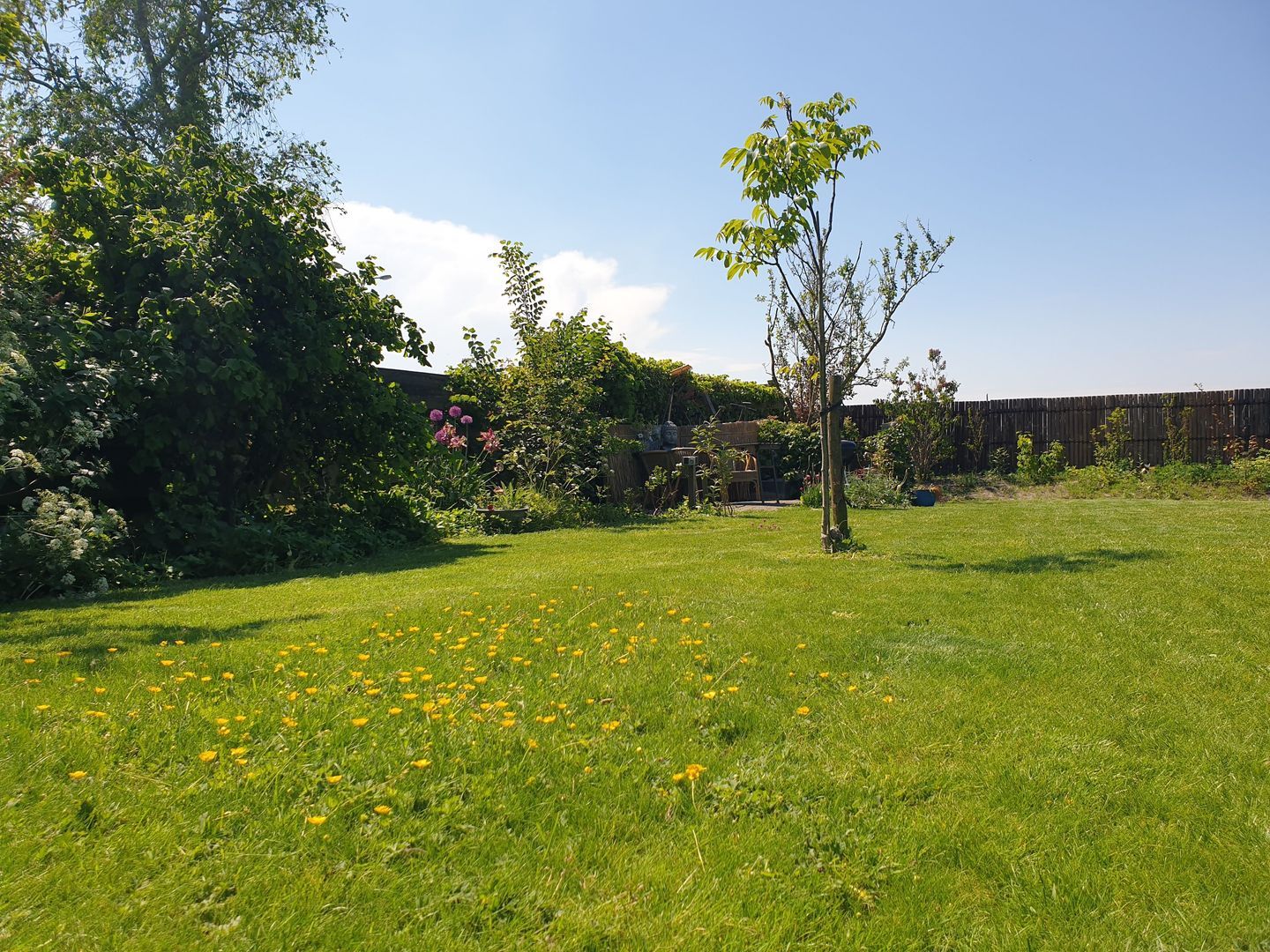 Nijbuorren 8, Ternaard foto-31