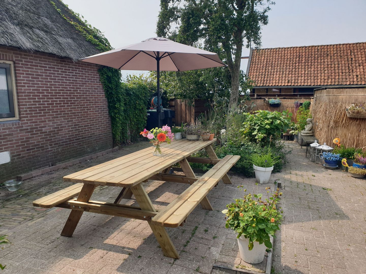 Nijbuorren 8, Ternaard foto-39