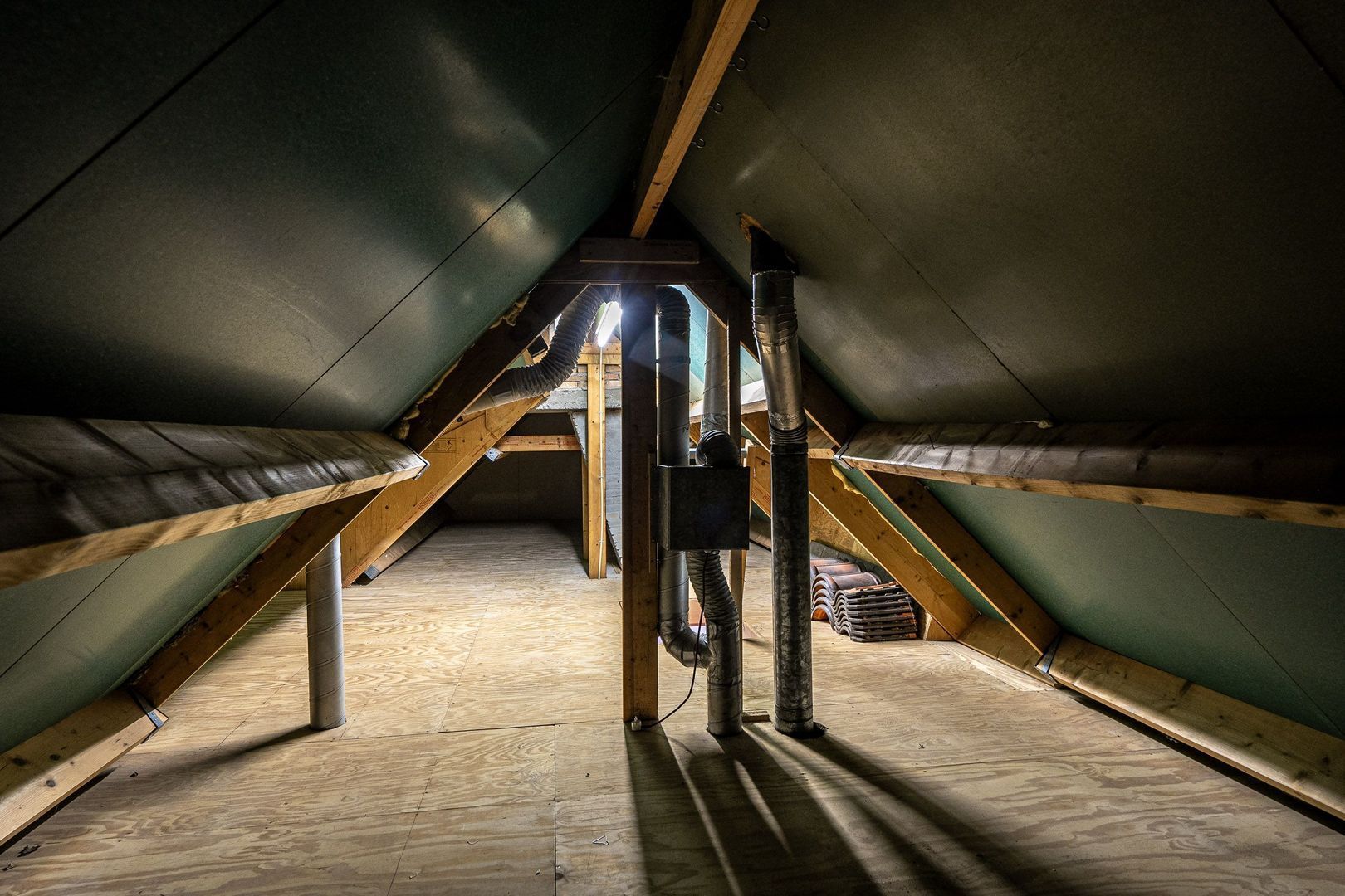 Froskepôlle 9, Leeuwarden foto-57