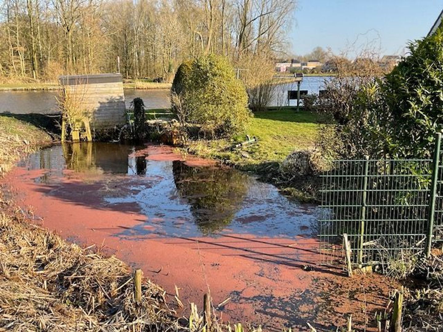 Froskepôlle 9, Leeuwarden foto-20