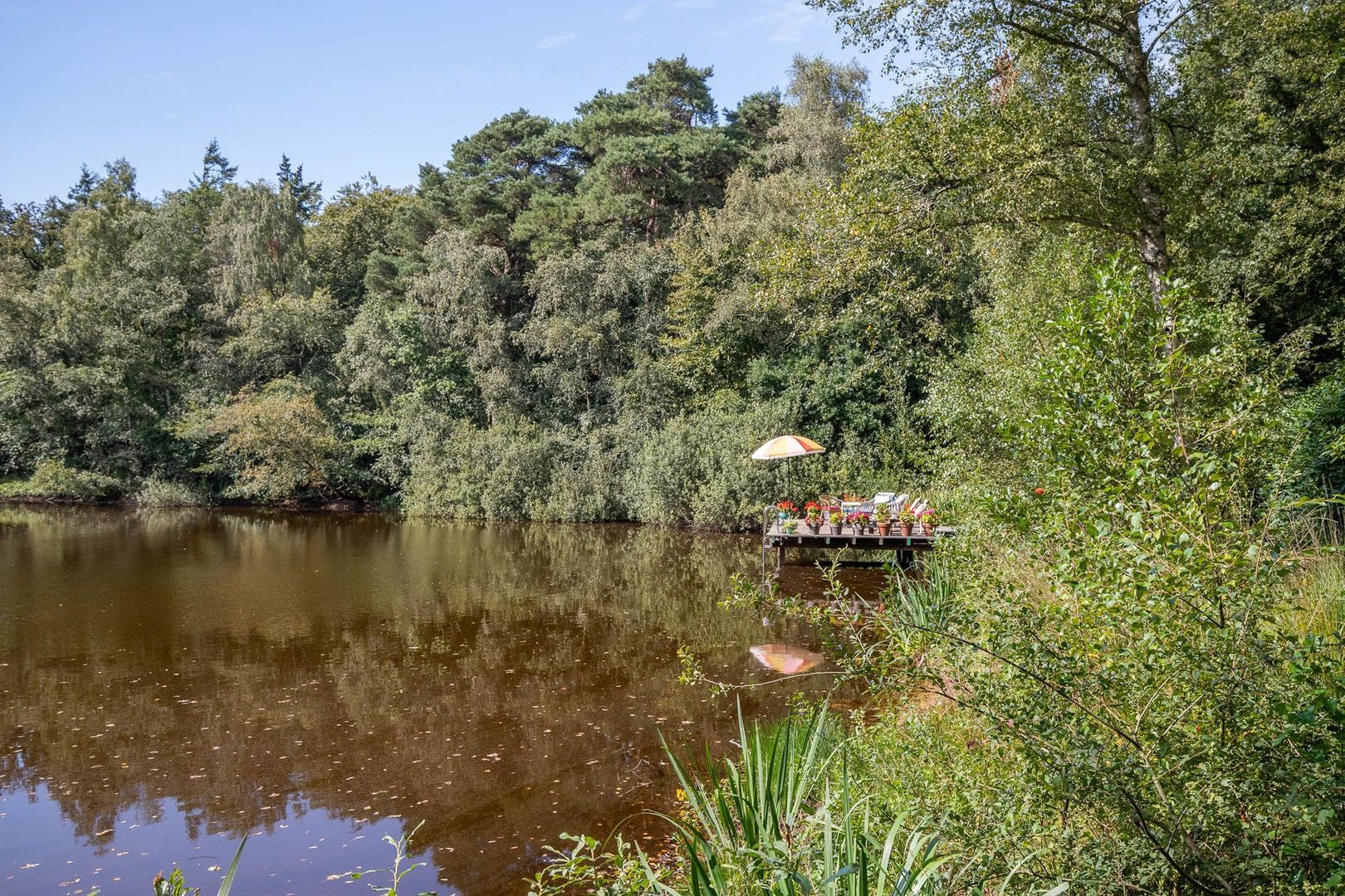 Huisterheide 1, Sint Nicolaasga foto-77