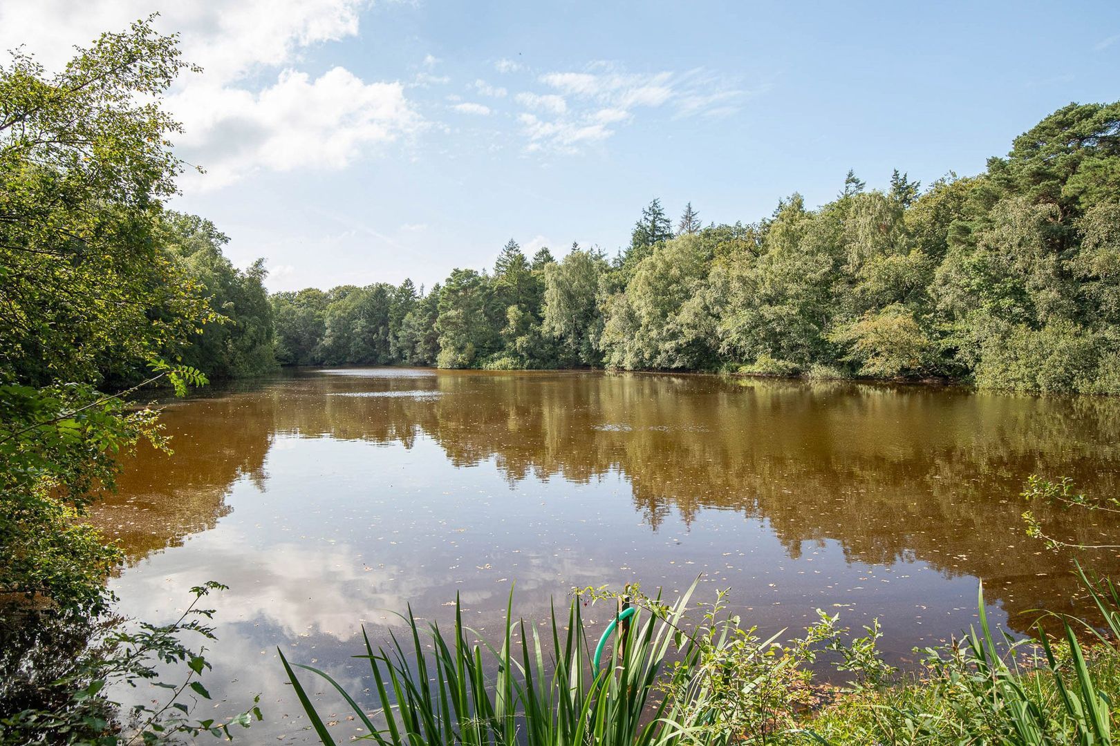Huisterheide 1, Sint Nicolaasga foto-76