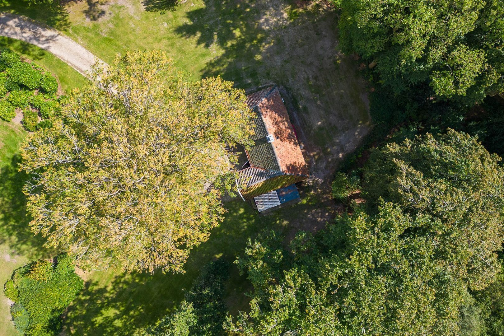 Huisterheide 1, Sint Nicolaasga foto-81