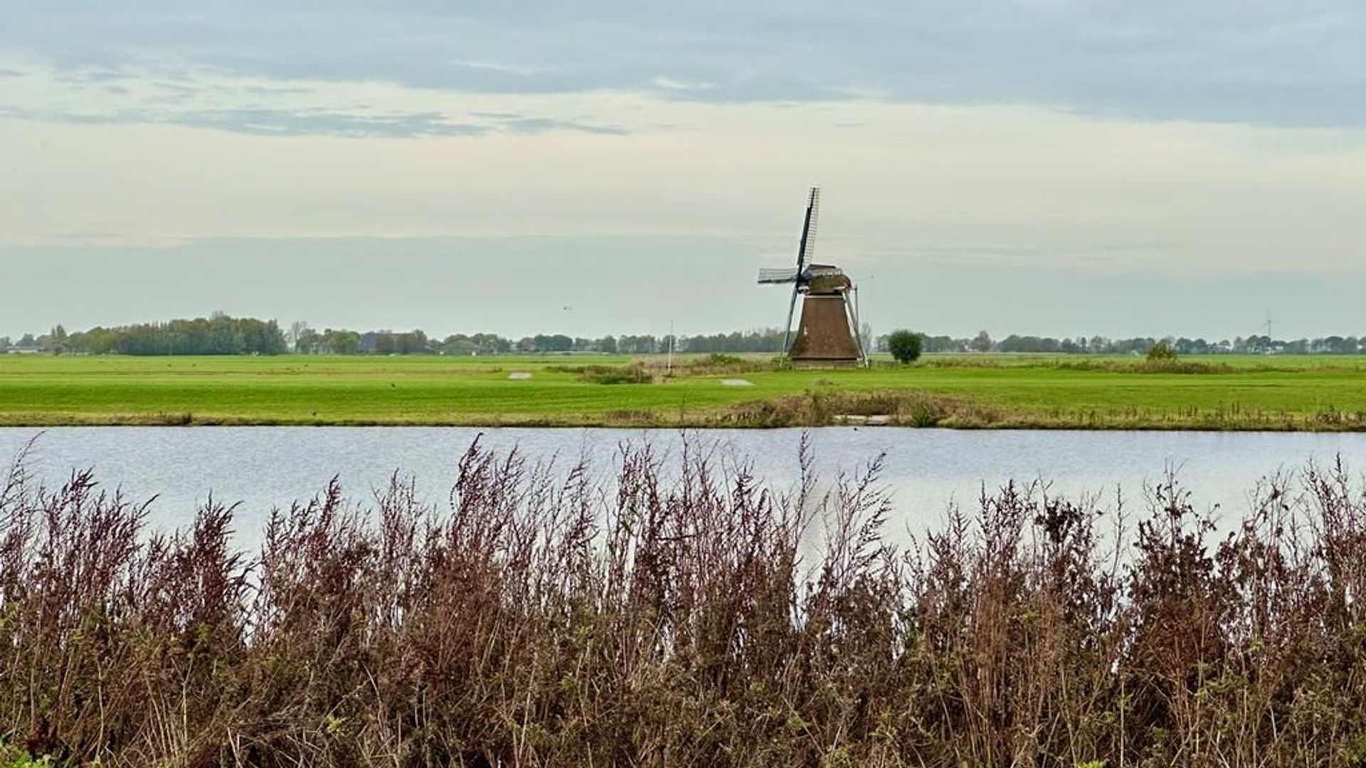 Wopkje Kooistralan 6 0 ong, Leeuwarden foto-15