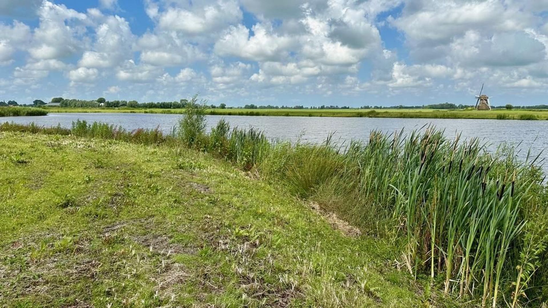 Wopkje Kooistralan 6 0 ong, Leeuwarden foto-13