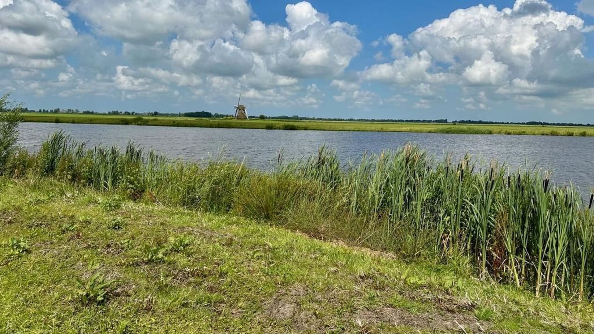 Wopkje Kooistralan 6 0 ong, Leeuwarden foto-9