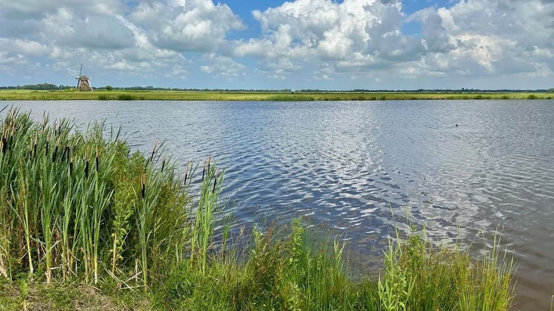 Wopkje Kooistralan 6 0 ong, Leeuwarden foto-14