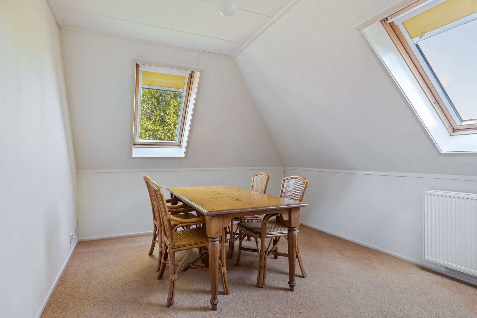 Bourboomweg 4, Burdaard foto-51