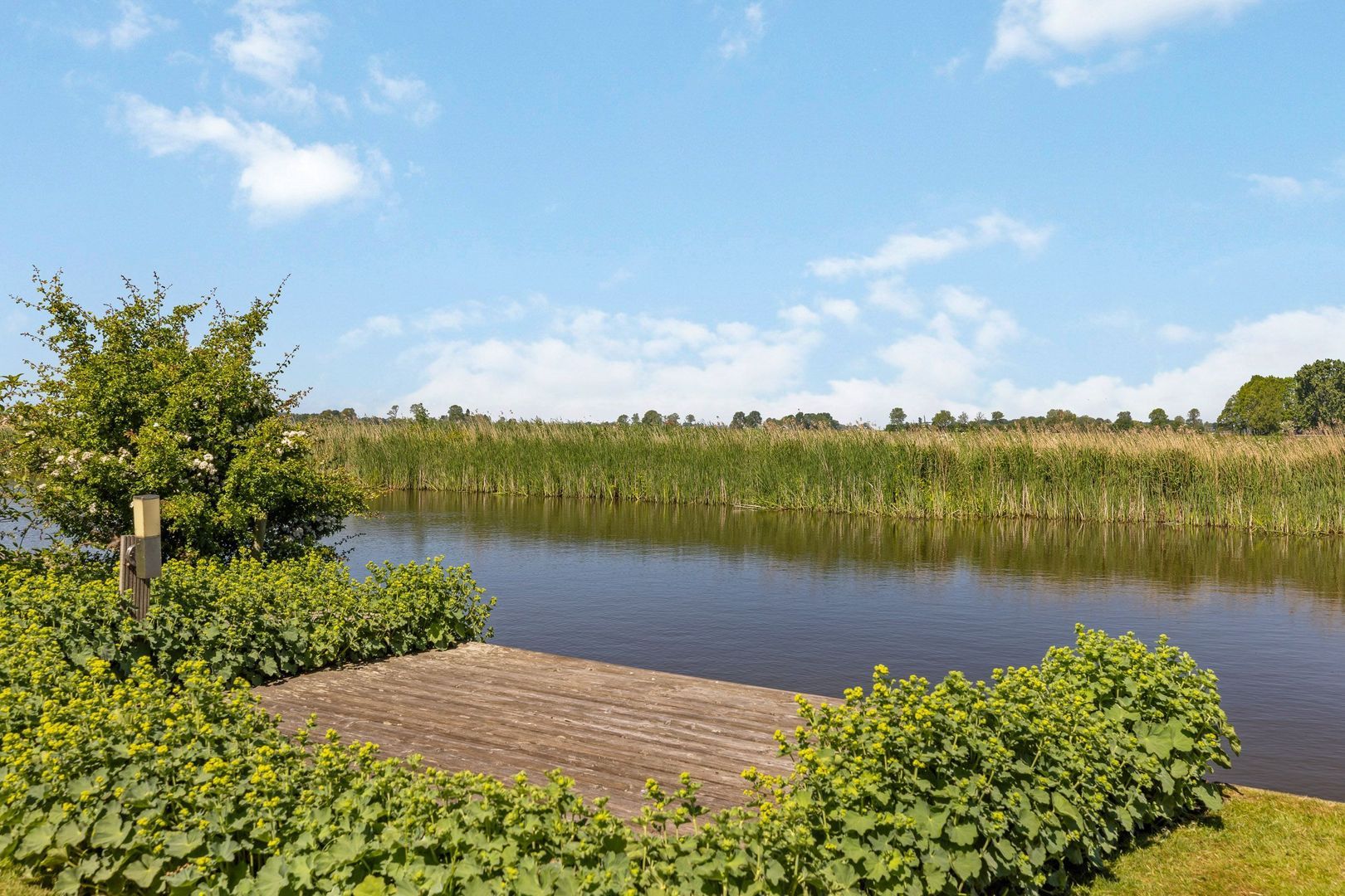 Bourboomweg 4, Burdaard foto-30