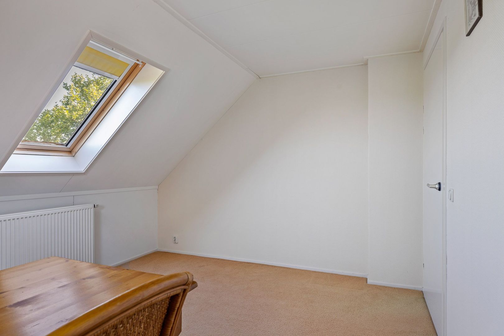 Bourboomweg 4, Burdaard foto-52