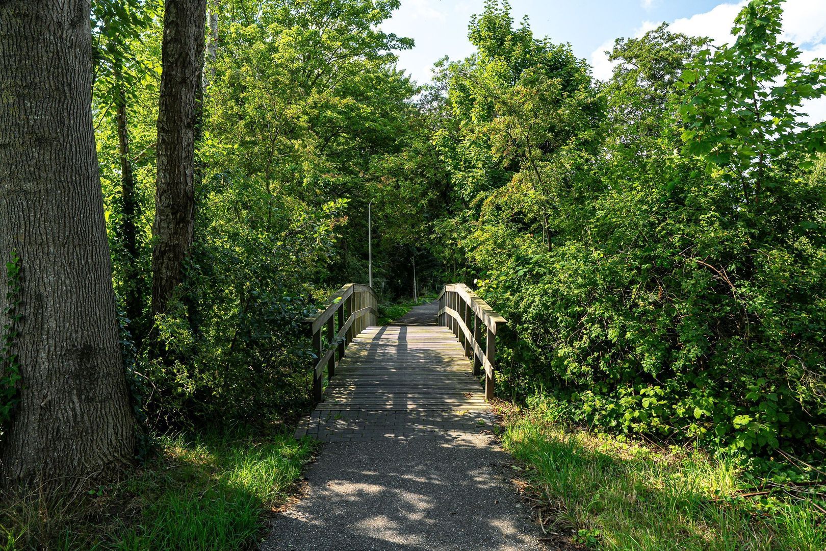 Hounsdyk 6, Goutum foto-97