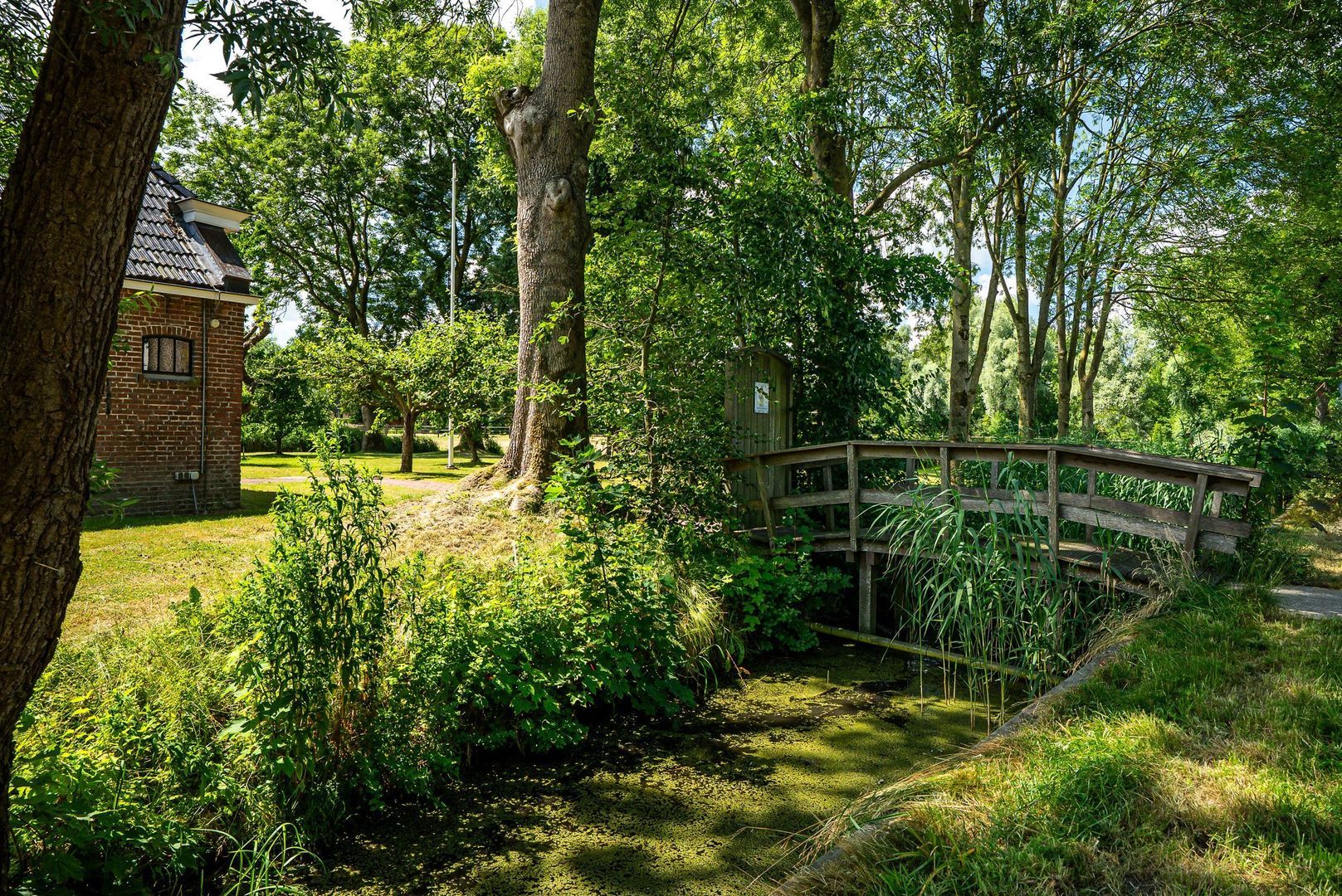 Hounsdyk 6, Goutum foto-82