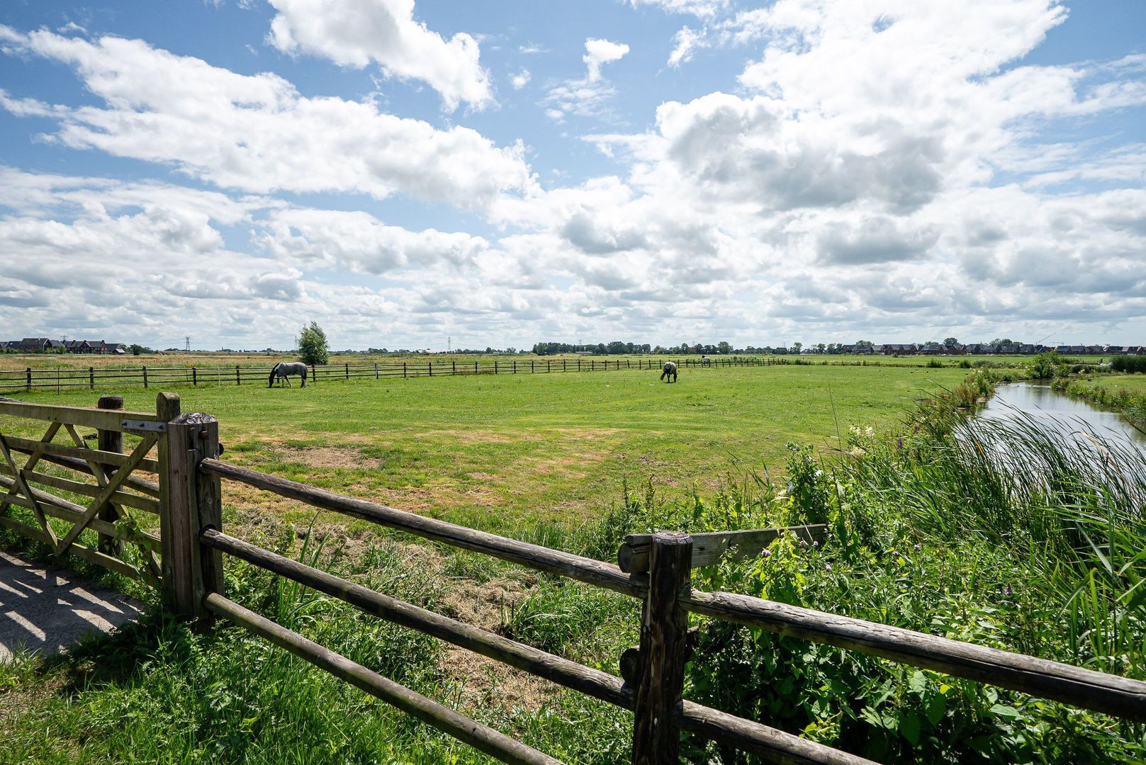 Hounsdyk 6, Goutum foto-84