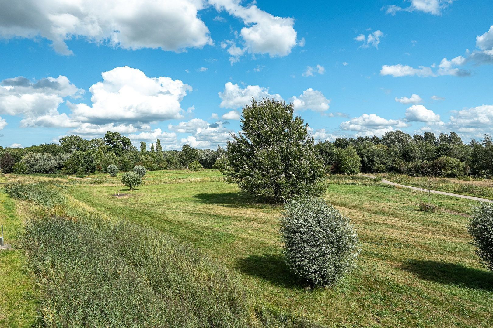 Eeltsjemar 1, Leeuwarden foto-84