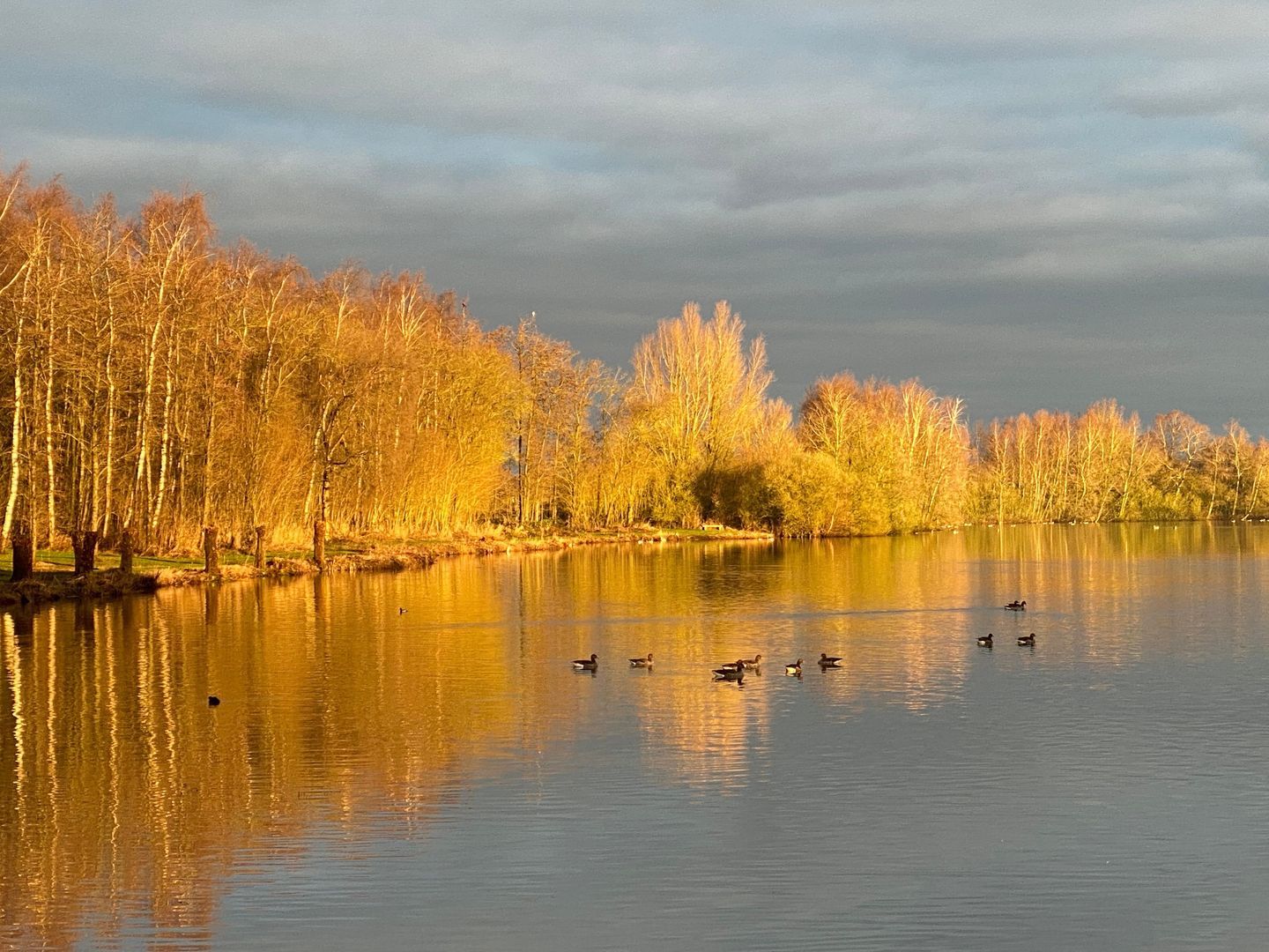 Zomerweg 49, Tytsjerk foto-62