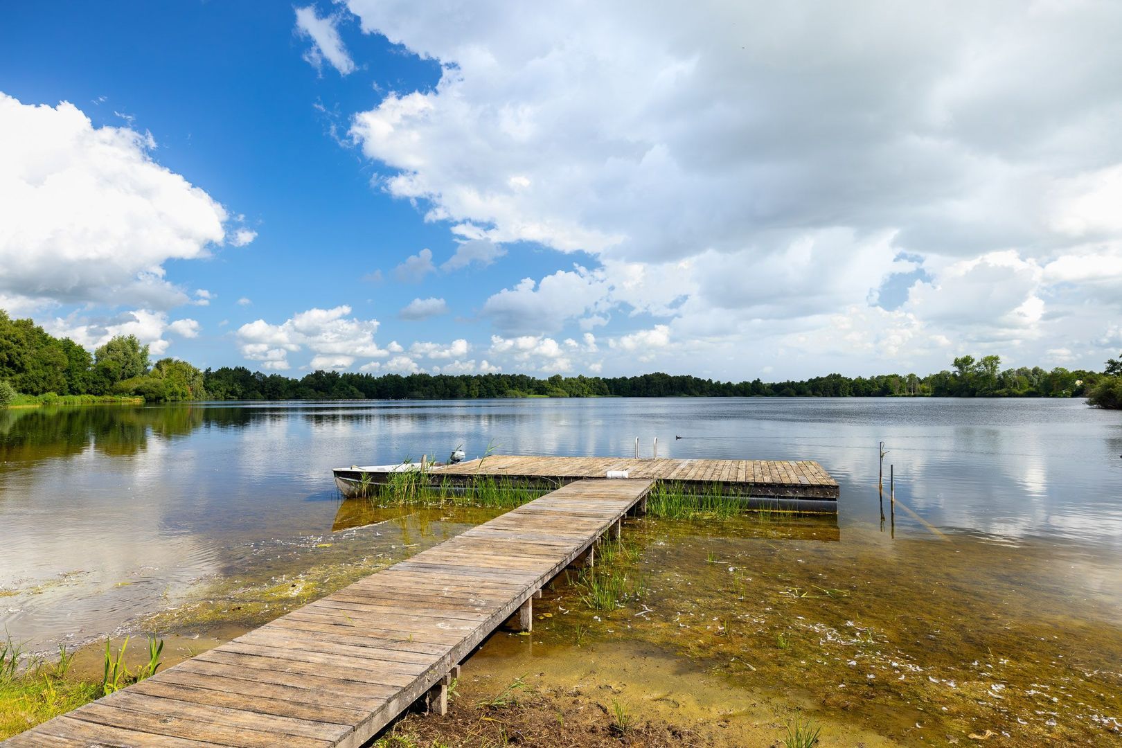 Zomerweg 49, Tytsjerk foto-17