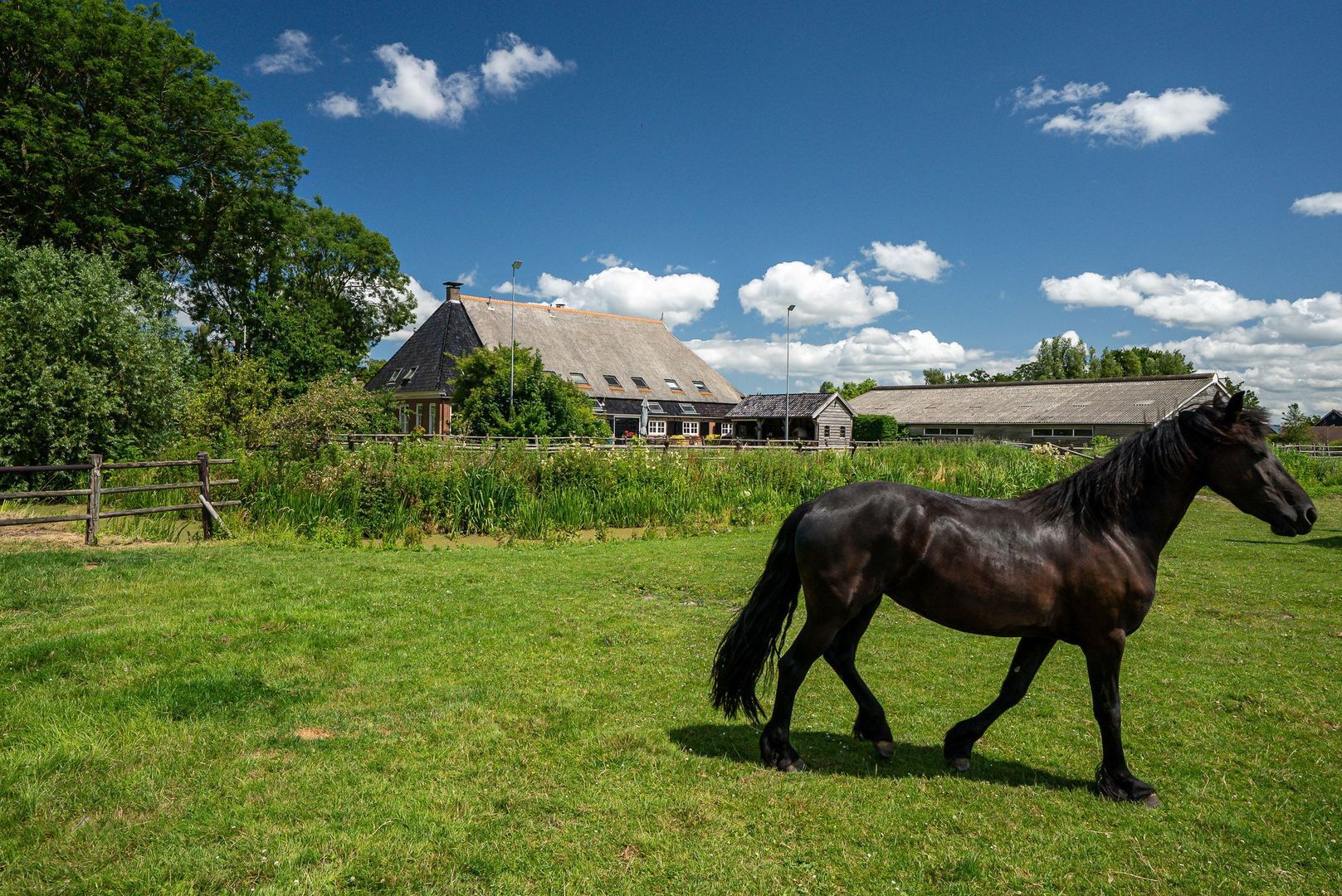 Hounsdyk 6, Goutum foto-88