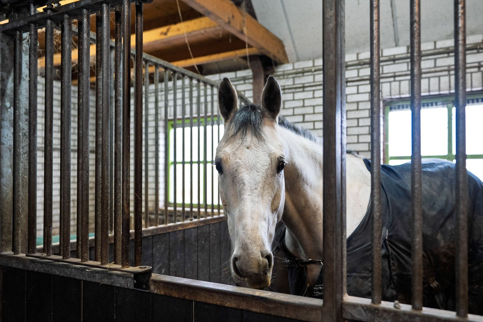 It Noarderfjild 18, Stiens foto-58