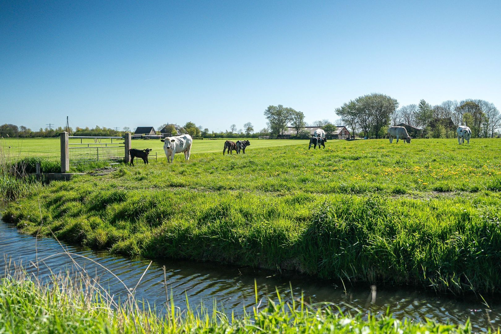 Molenweg 4, Hitzum foto-87