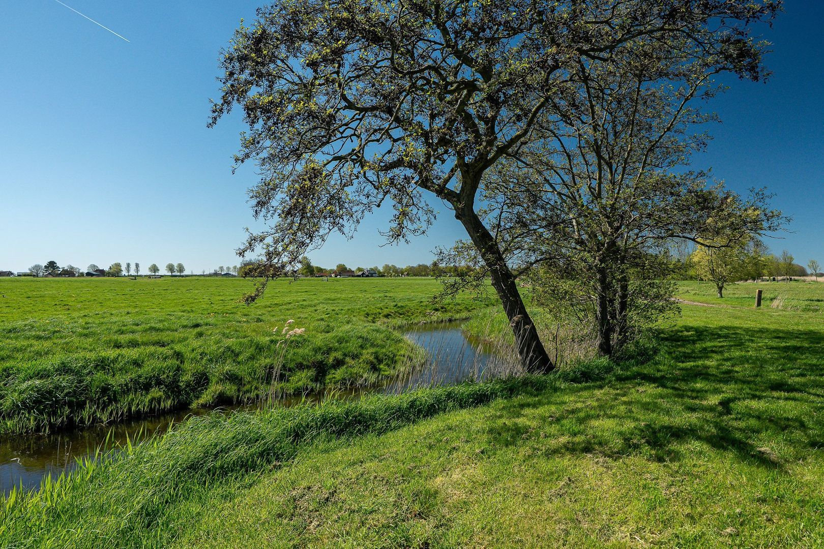 Molenweg 4, Hitzum foto-9