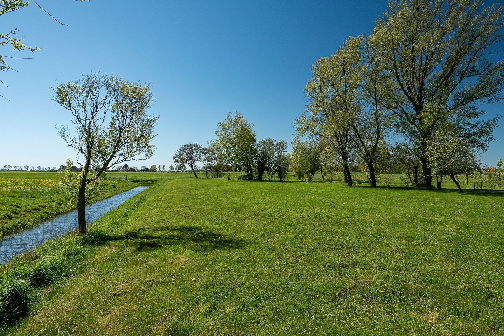Molenweg 4, Hitzum foto-7