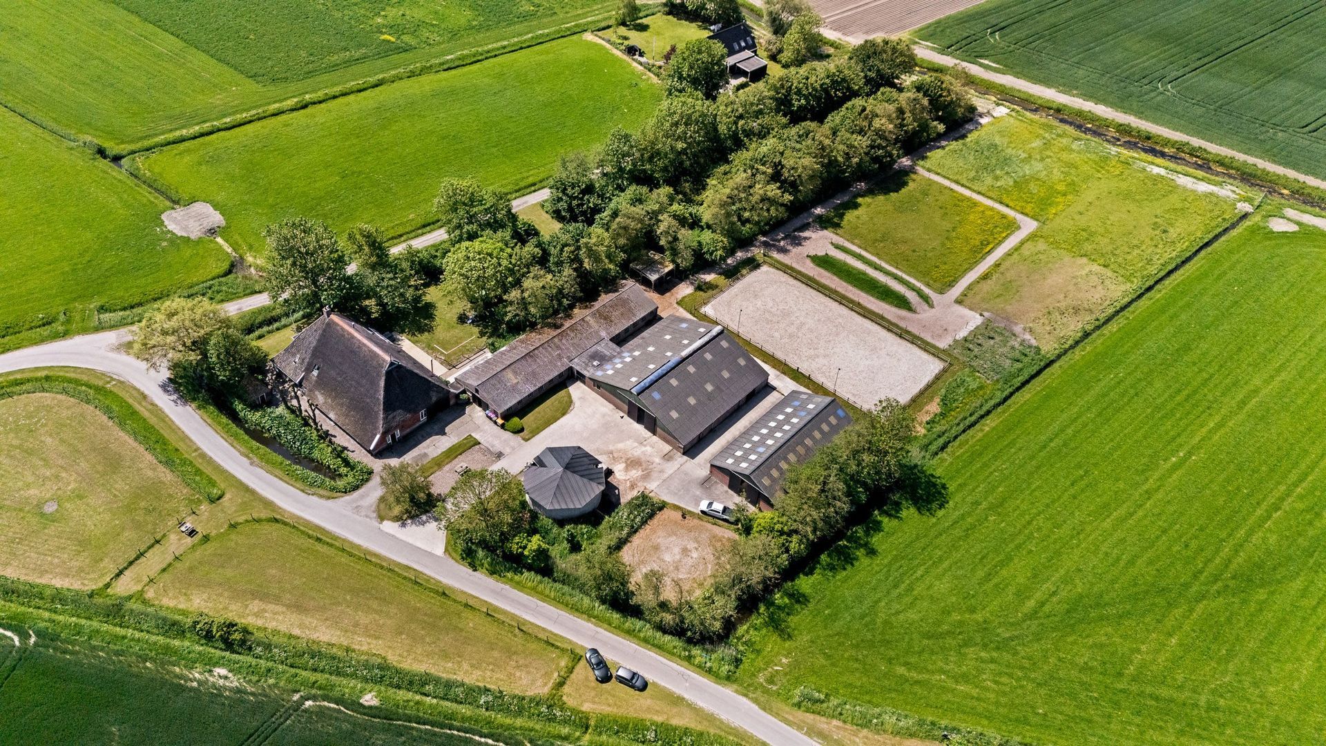Witewei 2, Stiens foto-53
