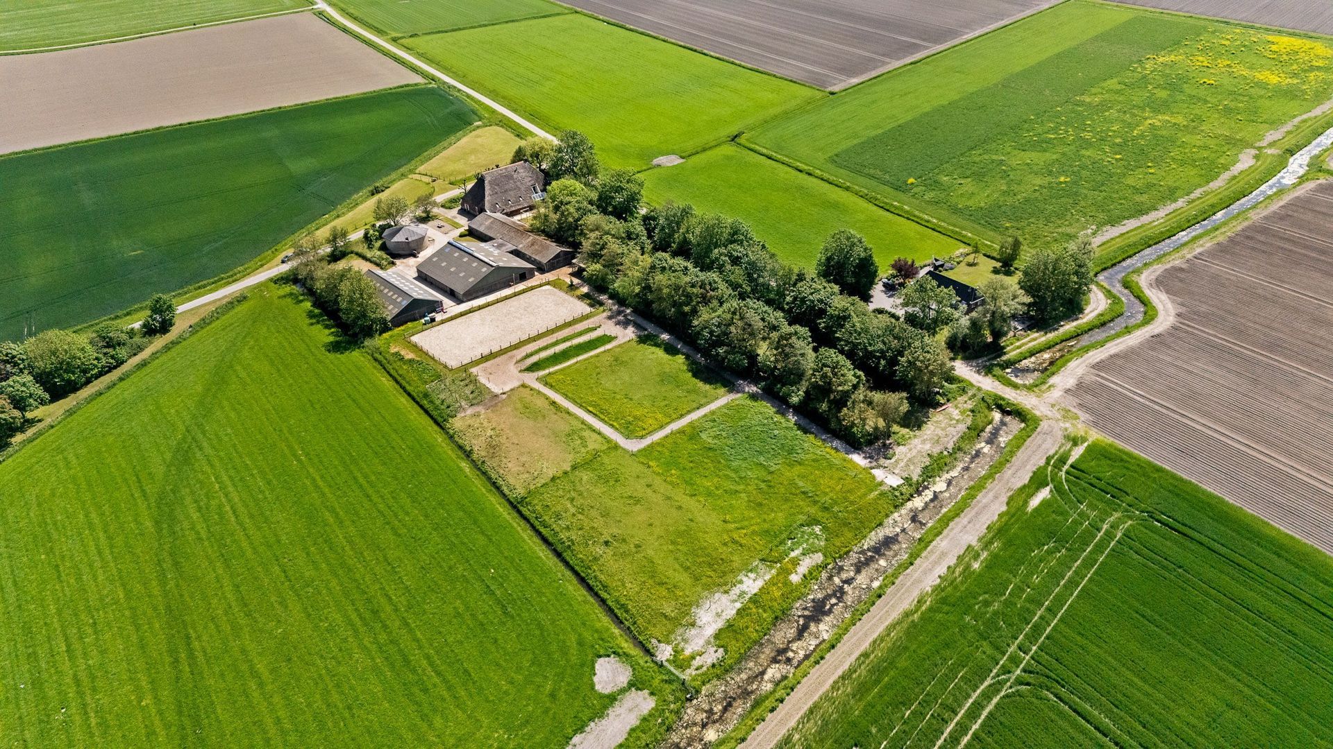 Witewei 2, Stiens foto-54