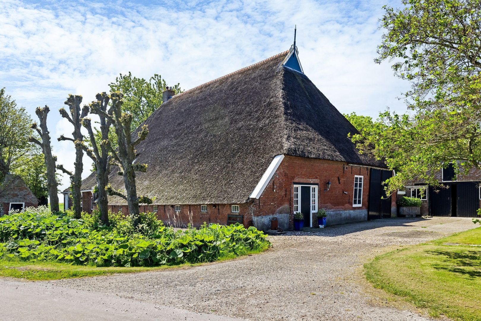 Witewei 2, Stiens foto-67