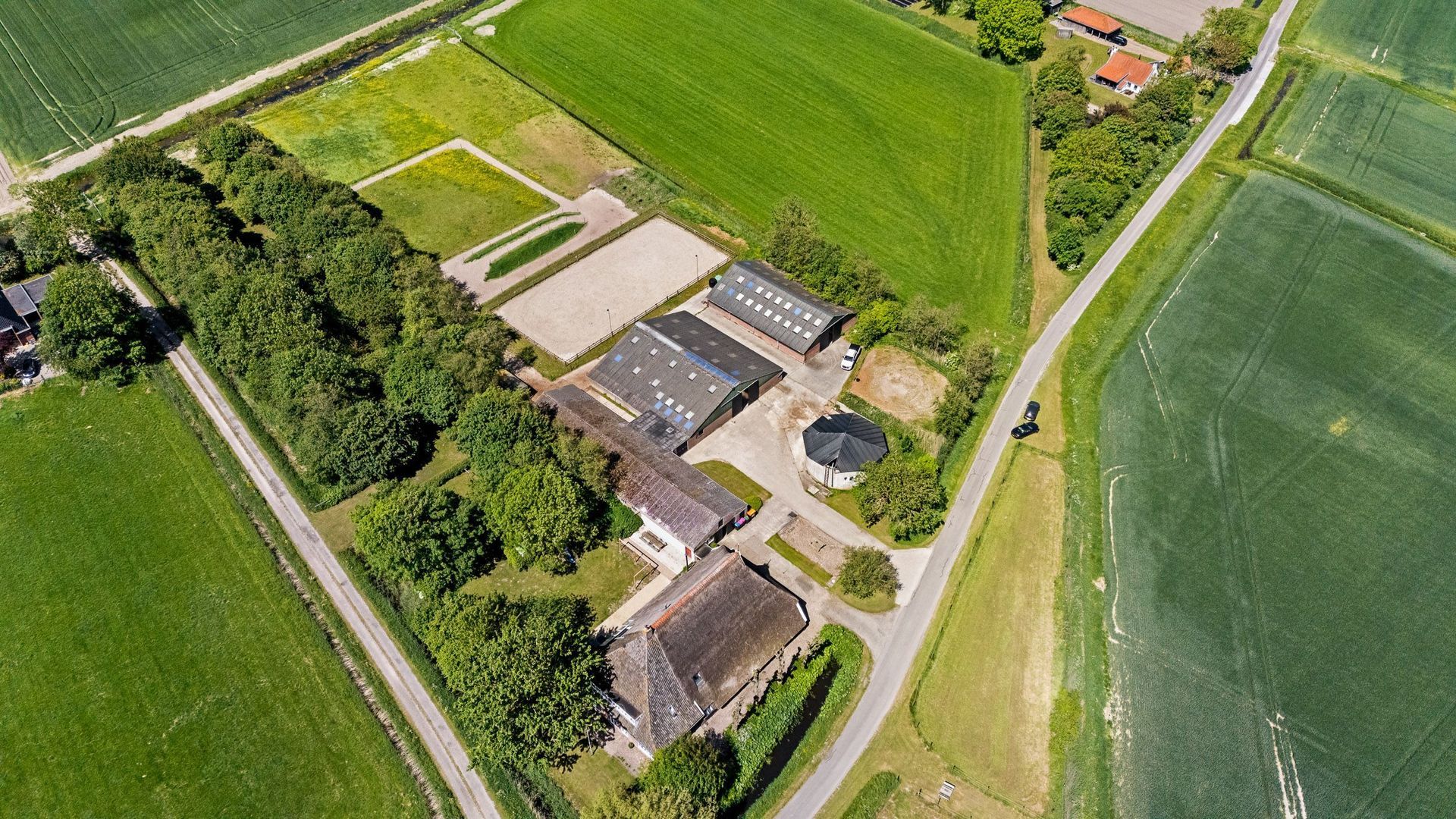 Witewei 2, Stiens foto-52