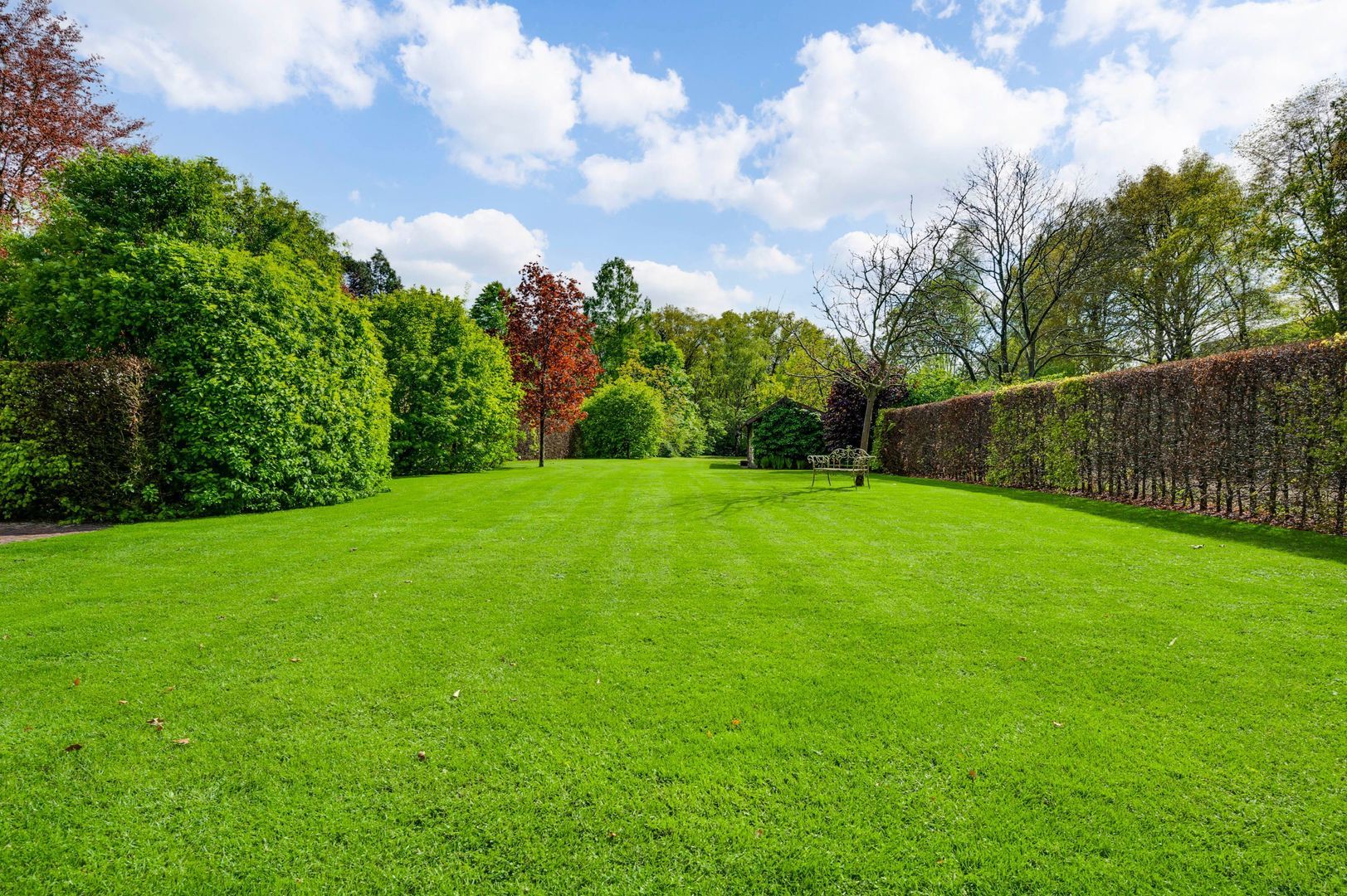 Bergerweg 19, Horn foto-28