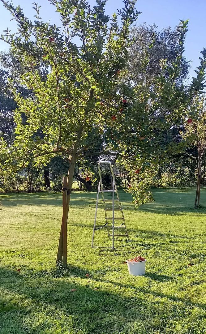 Herkenbosserweg 3, Vlodrop foto-23