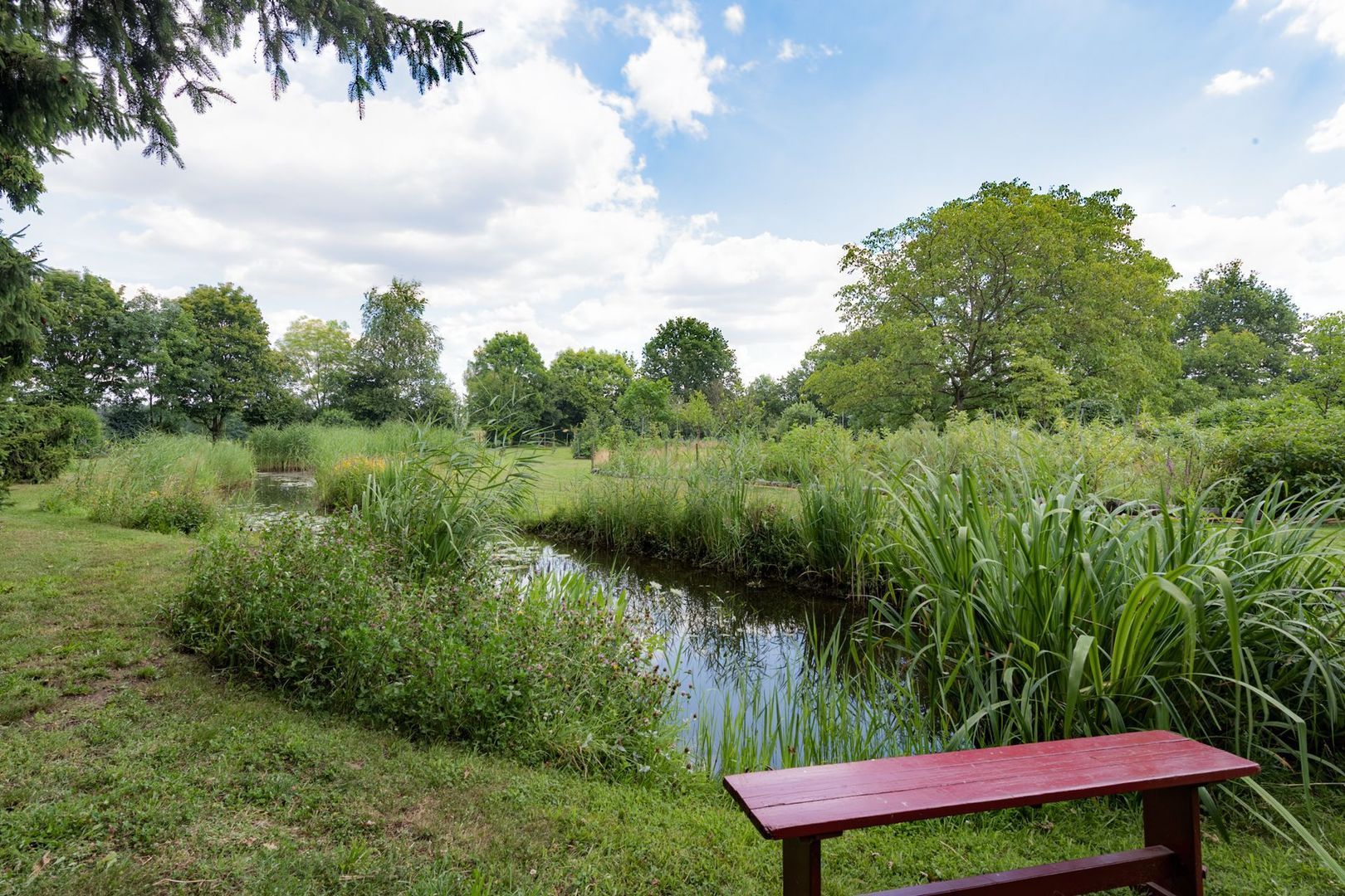 Herkenbosserweg 3, Vlodrop foto-27