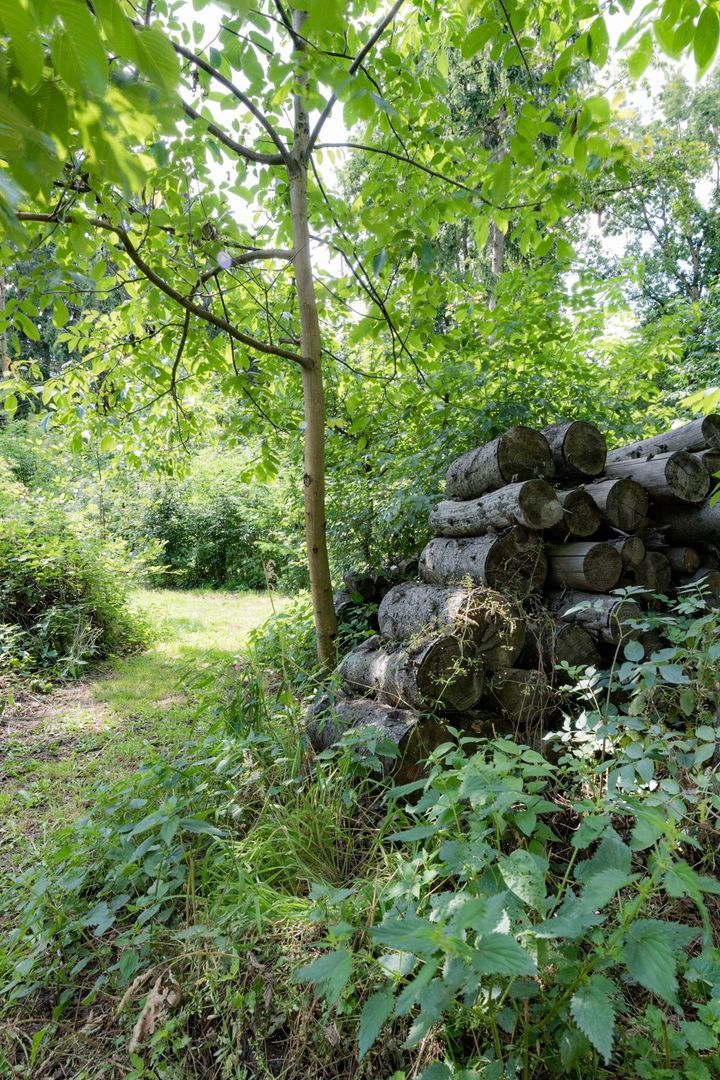 Herkenbosserweg 3, Vlodrop foto-26