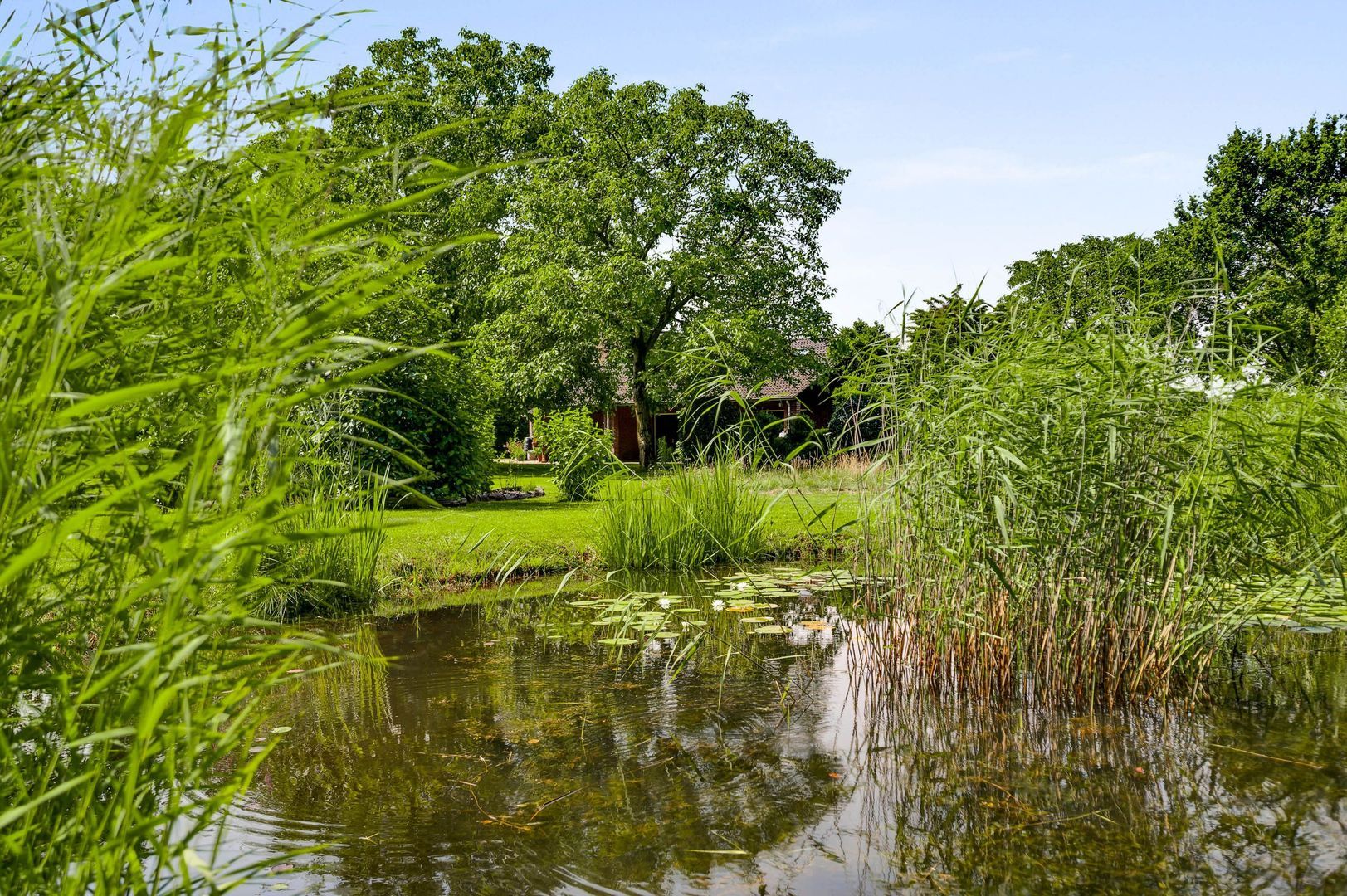 Herkenbosserweg 3, Vlodrop foto-24