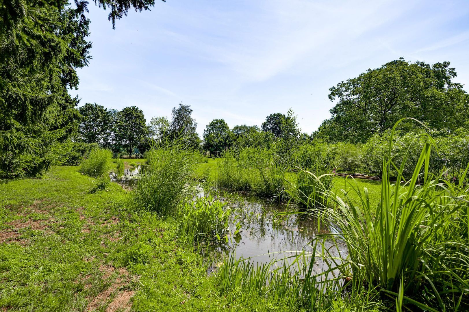 Herkenbosserweg 3, Vlodrop foto-25