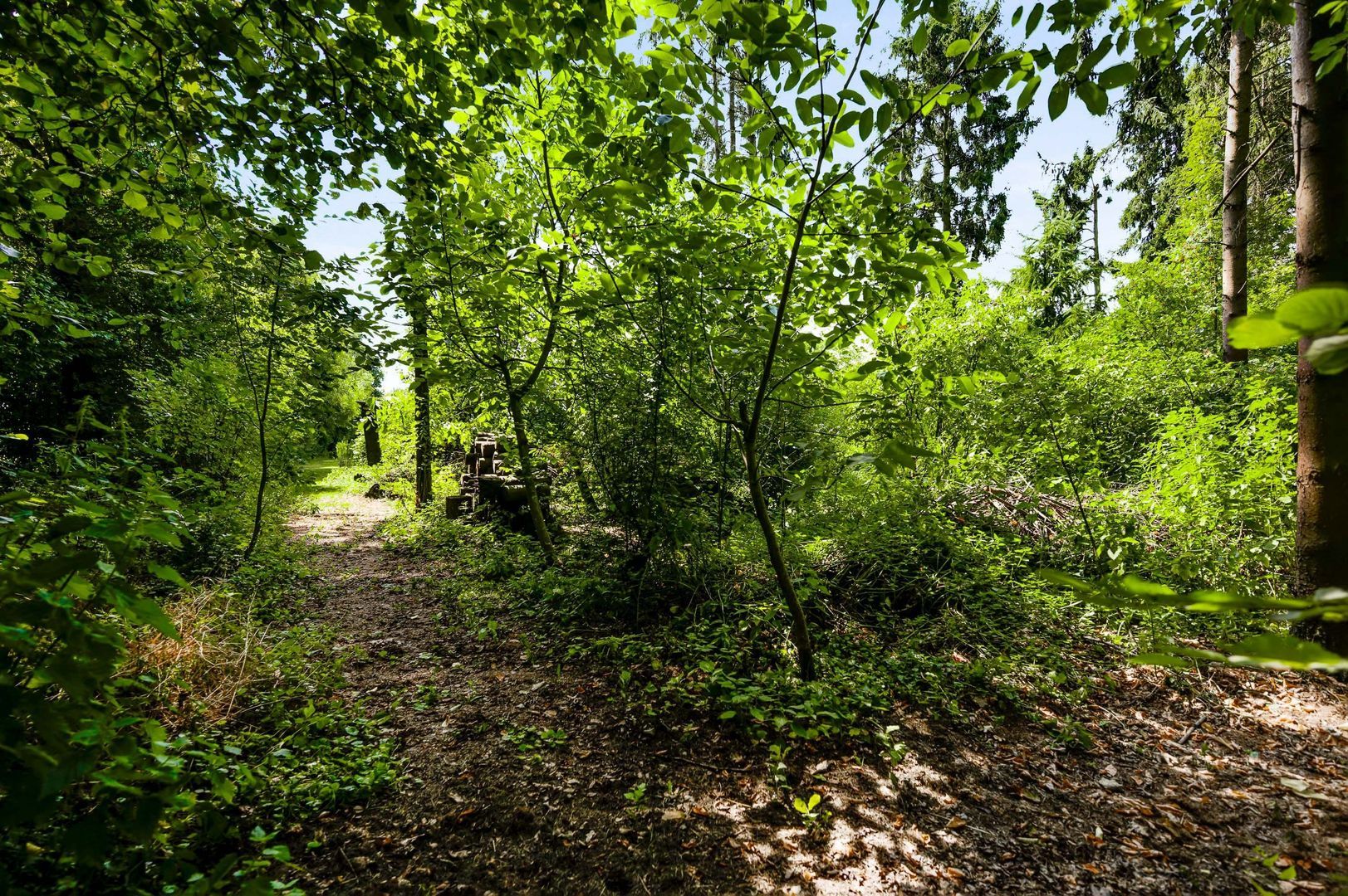 Herkenbosserweg 3, Vlodrop foto-23