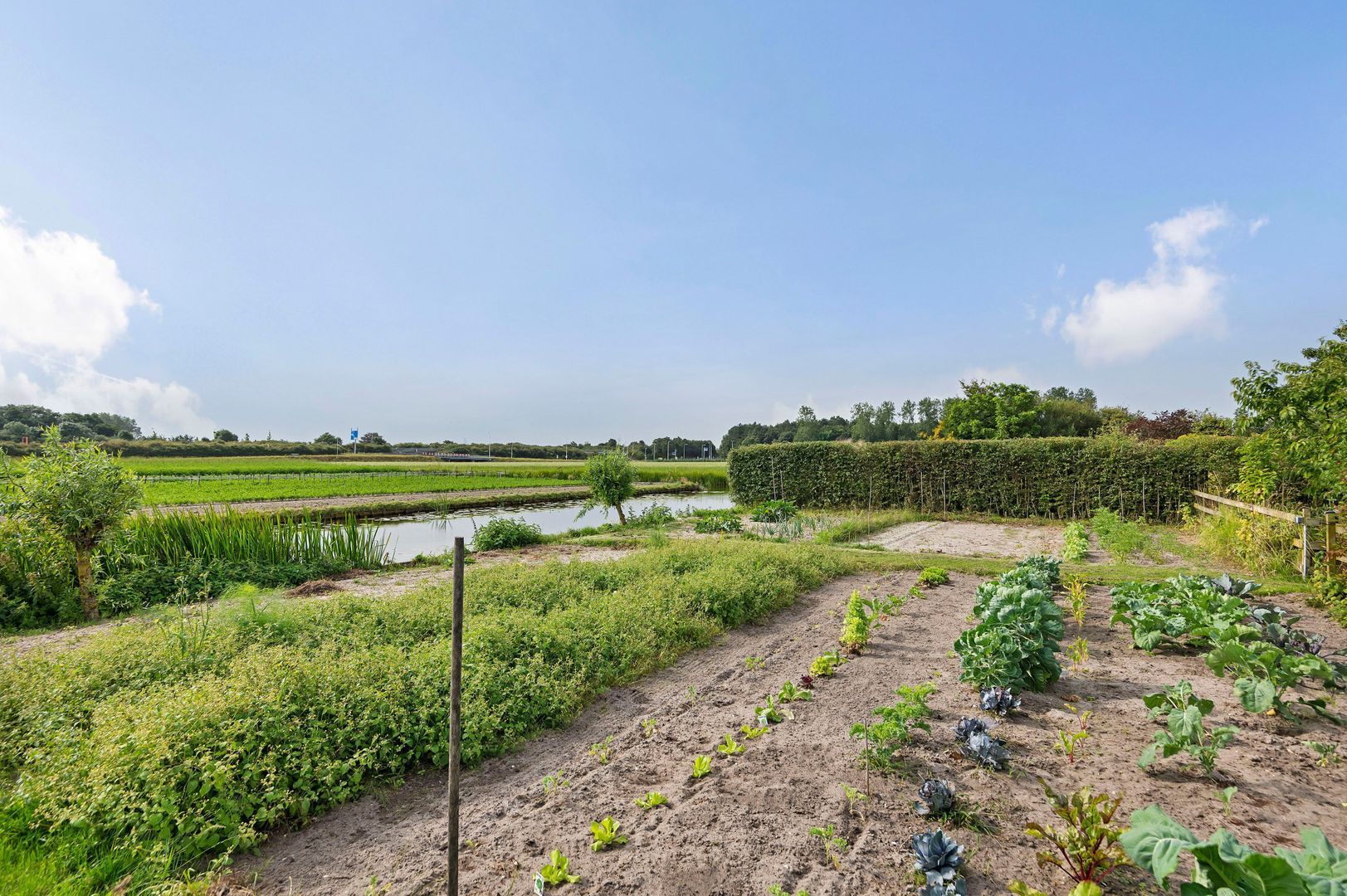 Gooweg 21 A, Noordwijkerhout foto-49