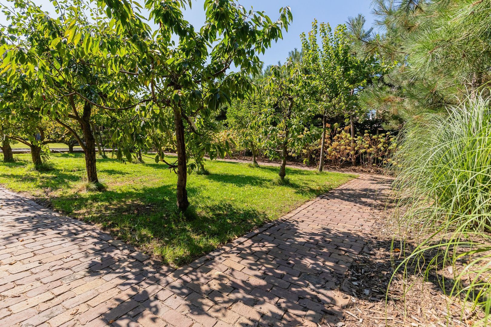 Sandtlaan 86, Rijnsburg foto-75