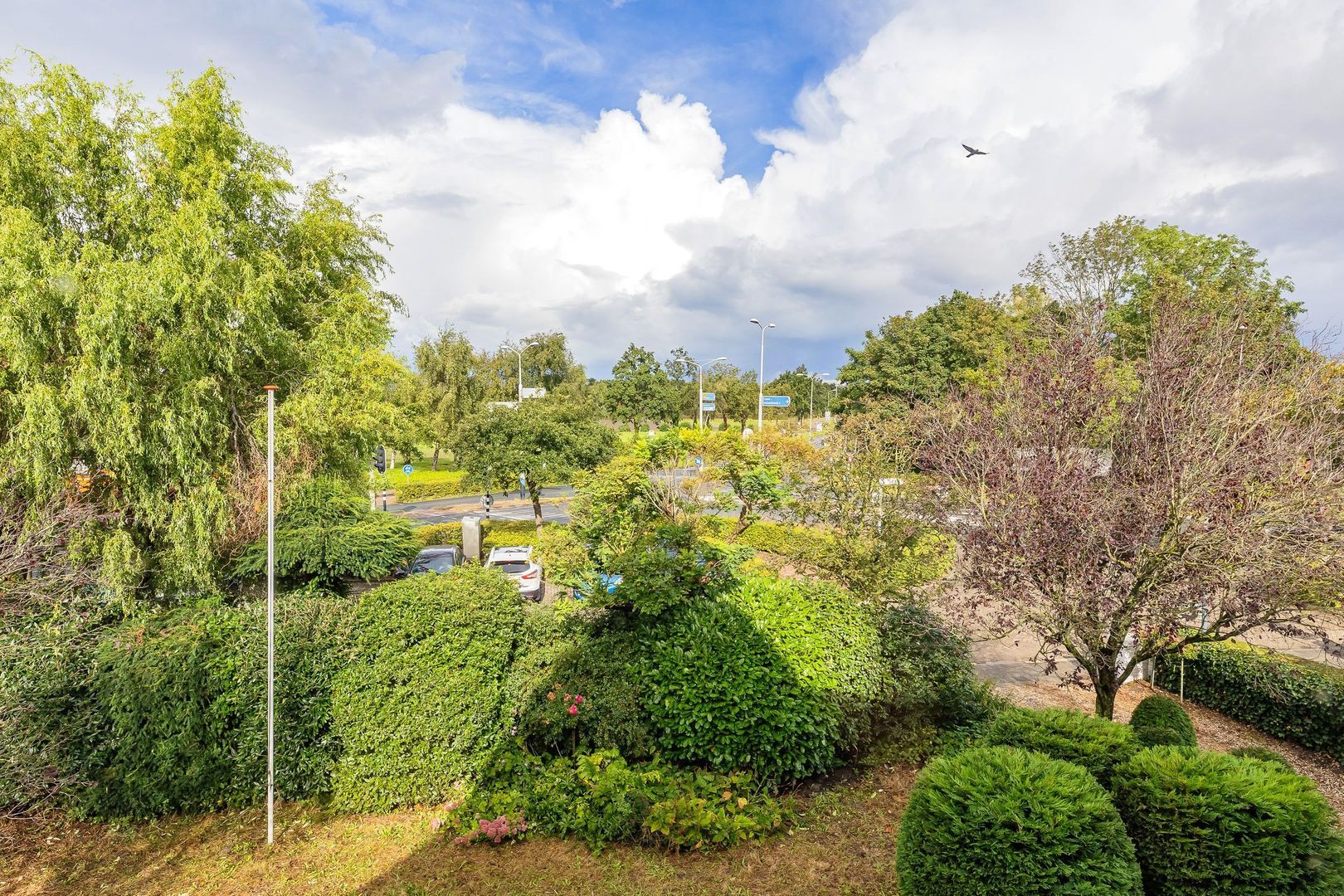 Heereweg 335, Lisse foto-51