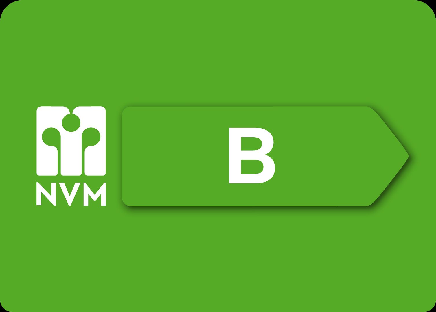 Van der Vlugtpark 2, Lisse foto-61