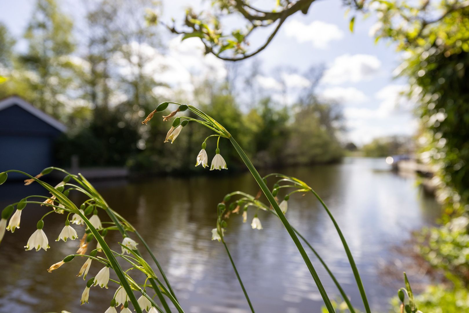 Clinckenburgh 39, Oegstgeest foto-54