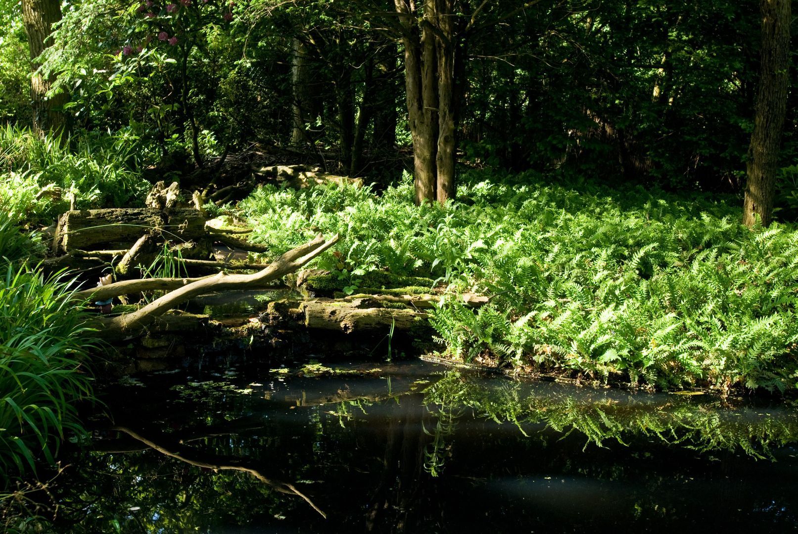 Gooweg 14, Noordwijk foto-56