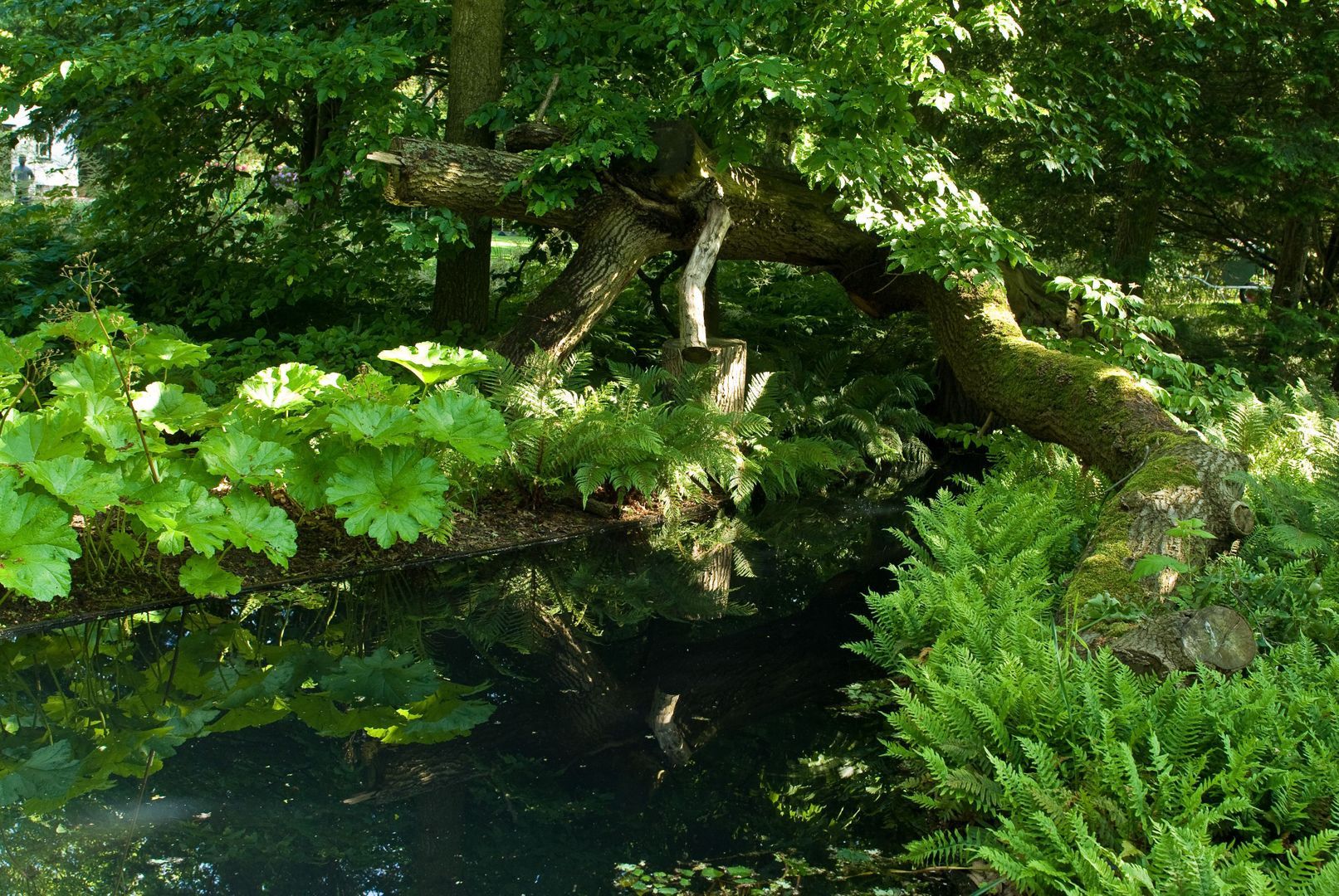 Gooweg 14, Noordwijk foto-57